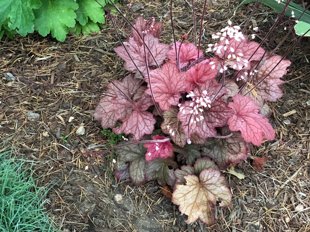 Colorful Watershed Front Landscape by Ketti Kupper Conscious Life Design - Photo 20