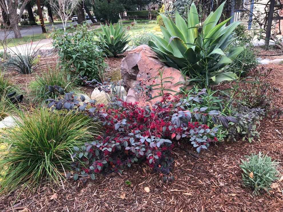 Colorful Watershed Front Landscape by Ketti Kupper Conscious Life Design - Photo 28