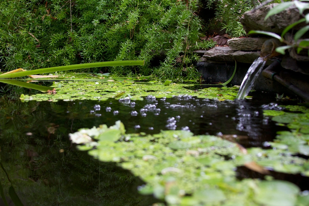 Secret Sanctuary Garden by Ketti Kupper Conscious Life Design - Photo 16