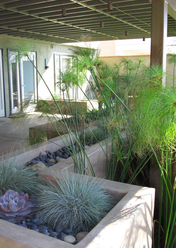 Ocean View Outdoor Living by Ketti Kupper Conscious Life Design - Photo 18