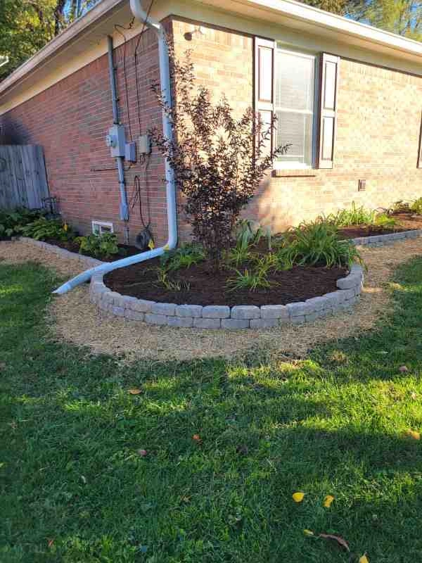 Alberto Alavez Professional Lawn Services LLC 7 by Alberto Alavez Professional Lawn Services LLC - Photo 38