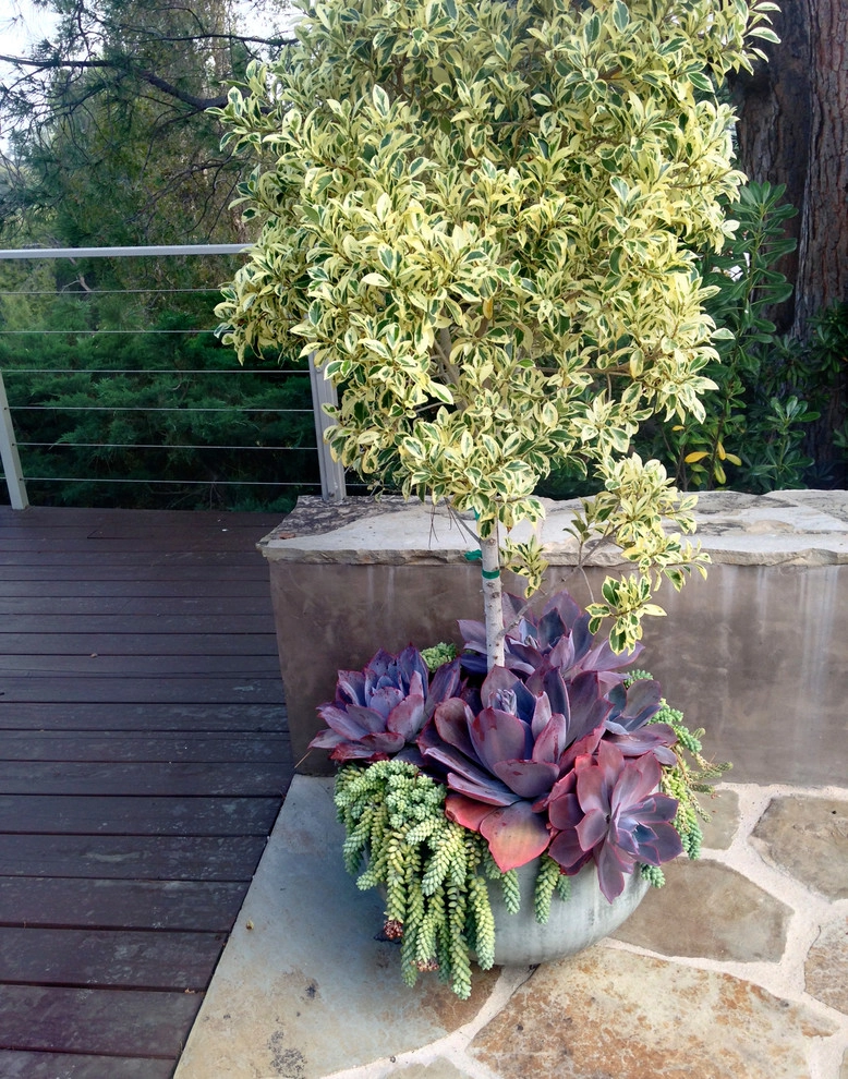Mystical Habitat Garden by Ketti Kupper Conscious Life Design - Photo 19