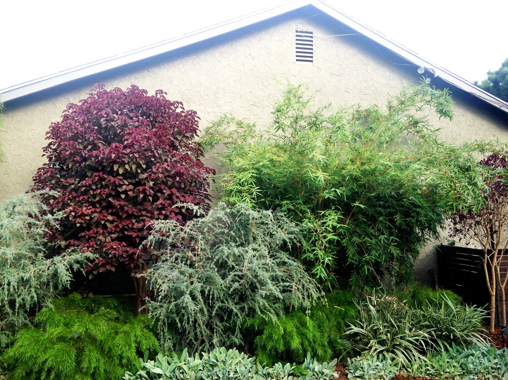 Mystical Habitat Garden by Ketti Kupper Conscious Life Design - Photo 32