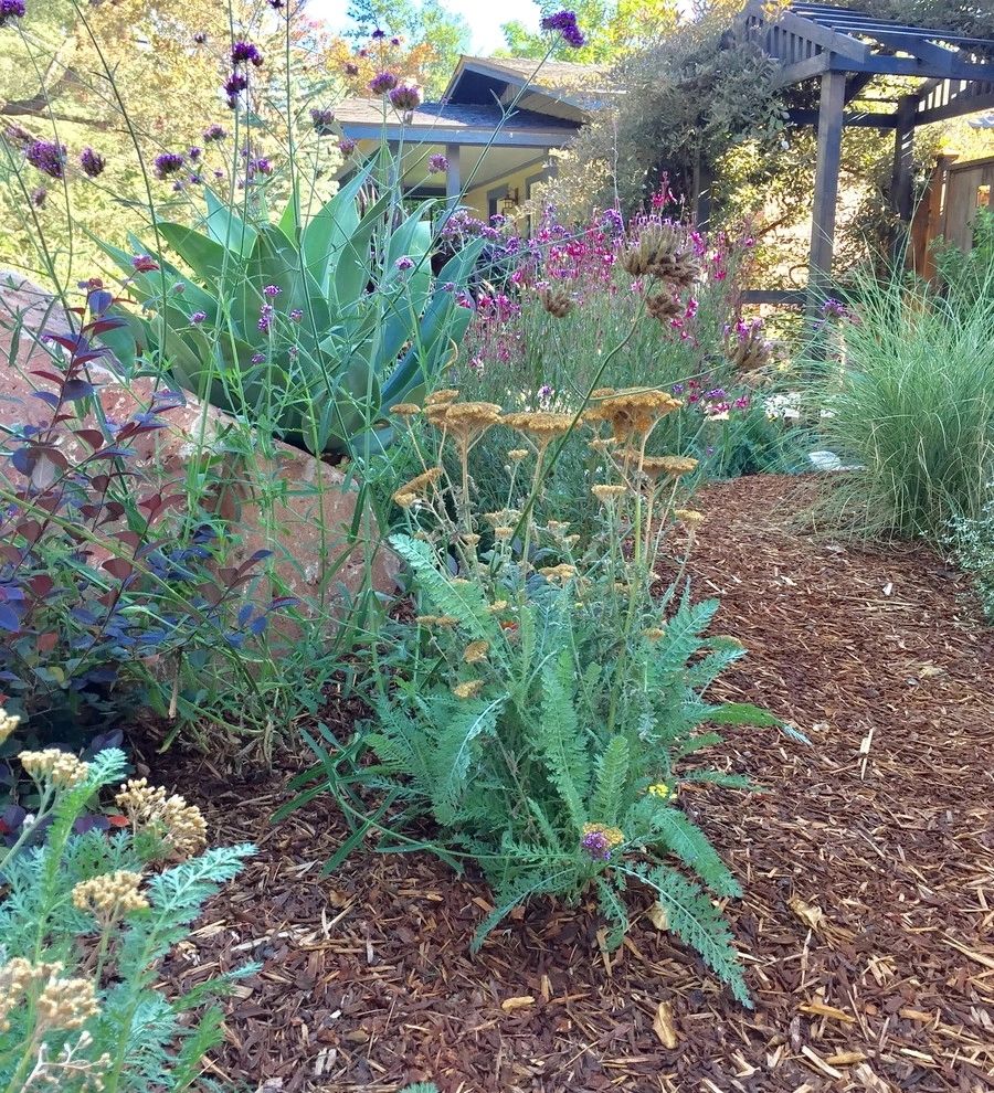 Colorful Watershed Front Landscape by Ketti Kupper Conscious Life Design - Photo 22