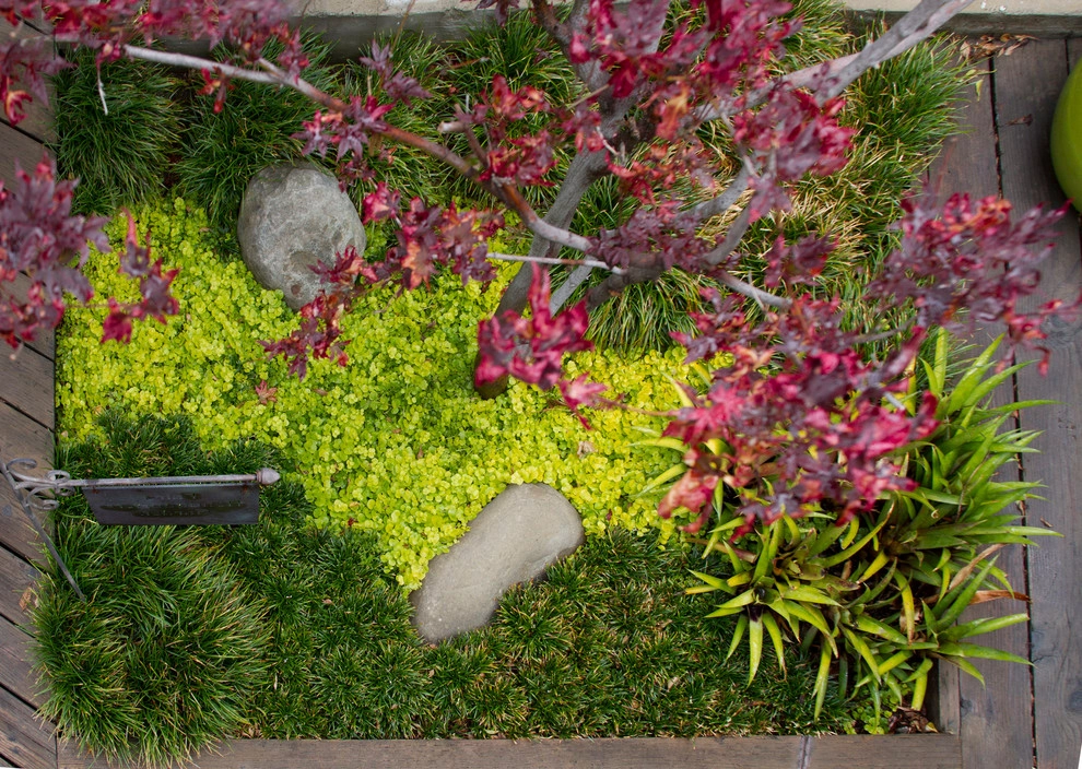 Secret Sanctuary Garden by Ketti Kupper Conscious Life Design - Photo 3