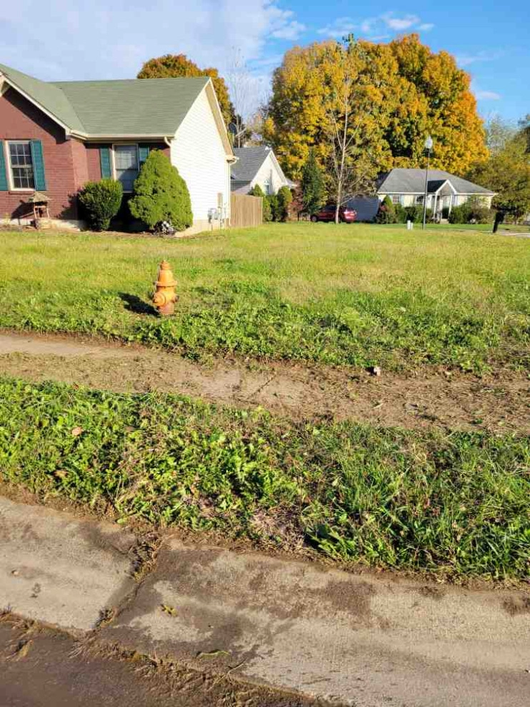 Alberto Alavez Professional Lawn Services LLC 7 by Alberto Alavez Professional Lawn Services LLC - Photo 9
