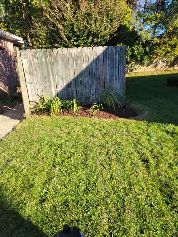 Alberto Alavez Professional Lawn Services LLC 7 by Alberto Alavez Professional Lawn Services LLC - Photo 46