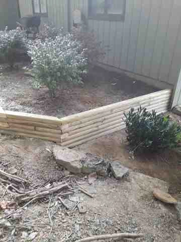Alberto Alavez Professional Lawn Services LLC - Photo 8