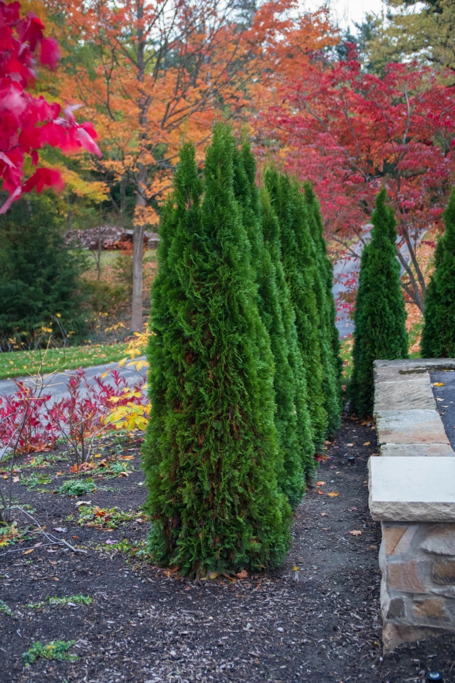 Cedar Ravine by KGK Gardening & Design Corp - Photo 15