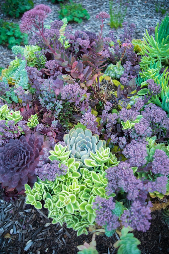 The Canterbury by KGK Gardening & Design Corp - Photo 33