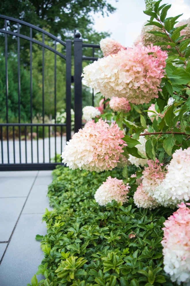 A Fox Trace by KGK Gardening & Design Corp - Photo 78
