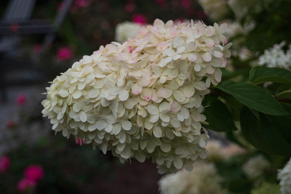 A Fox Trace by KGK Gardening & Design Corp - Photo 44