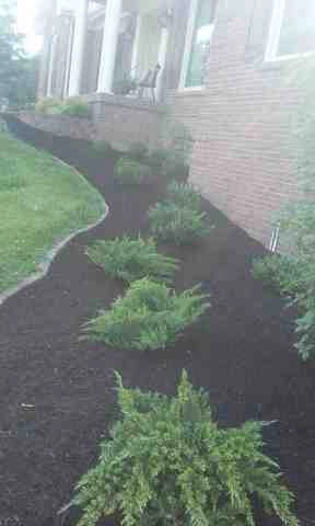 Alberto Alavez Professional Lawn Services LLC 1 by Alberto Alavez Professional Lawn Services LLC - Photo 11