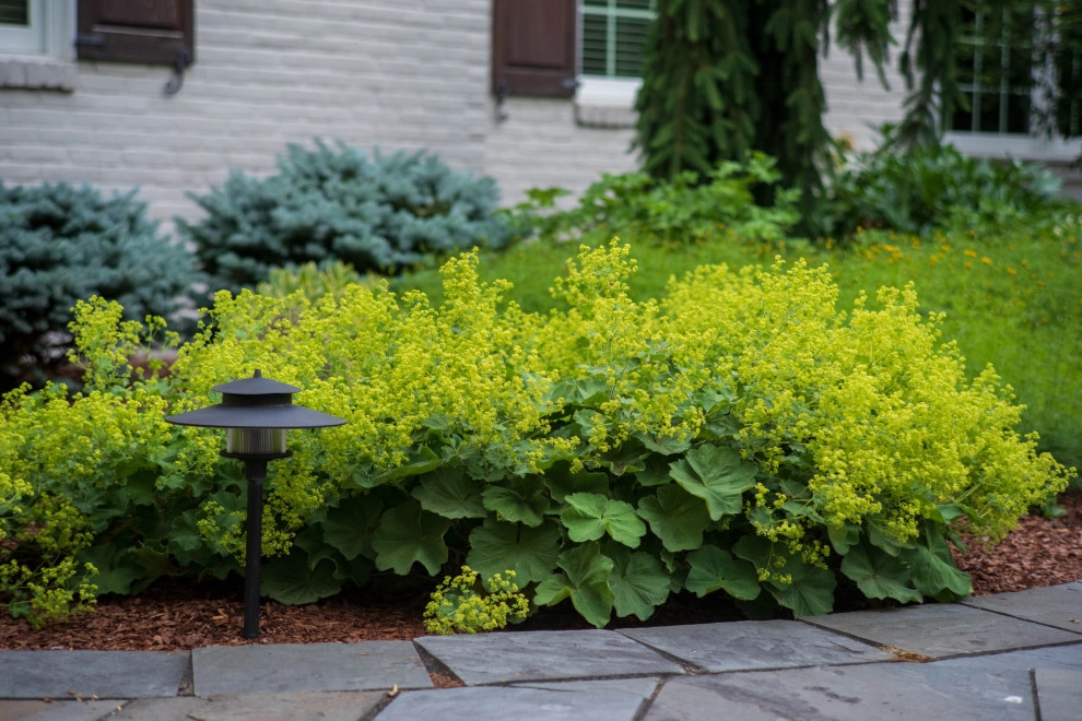 KGK Gardening & Design Corp - Photo 12