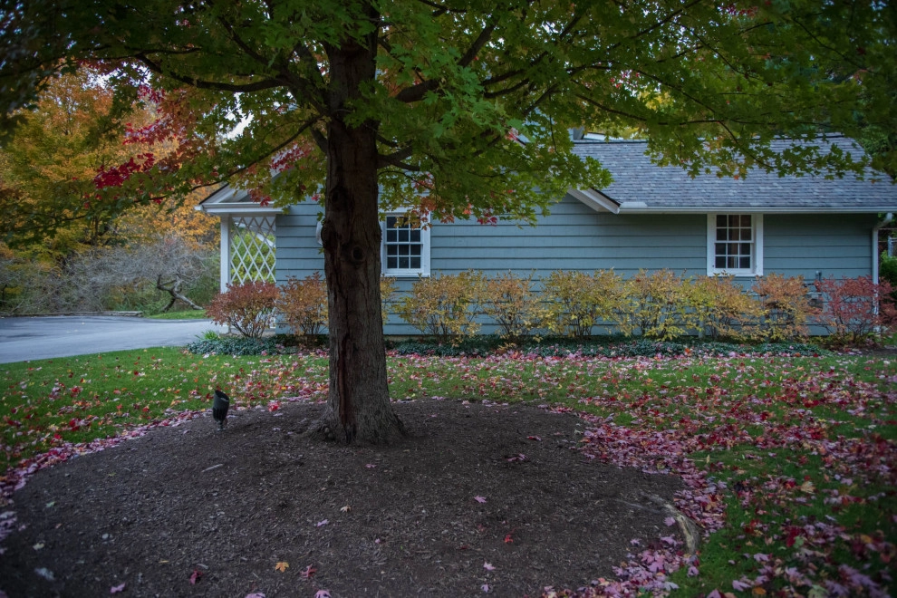 Cedar Ravine by KGK Gardening & Design Corp - Photo 48