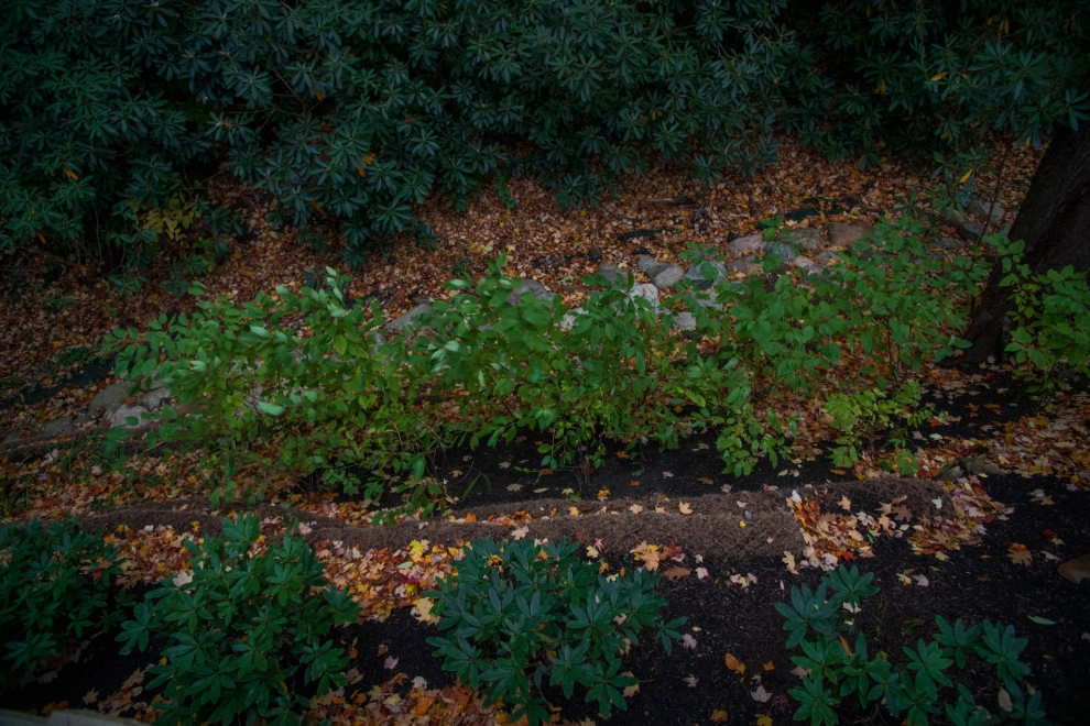 Cedar Ravine by KGK Gardening & Design Corp - Photo 39