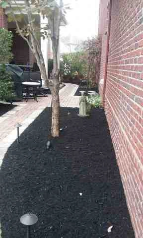 Alberto Alavez Professional Lawn Services LLC 1 by Alberto Alavez Professional Lawn Services LLC - Photo 44