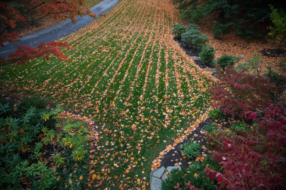 Cedar Ravine by KGK Gardening & Design Corp - Photo 28