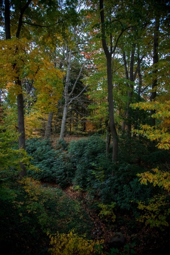 Cedar Ravine by KGK Gardening & Design Corp - Photo 16