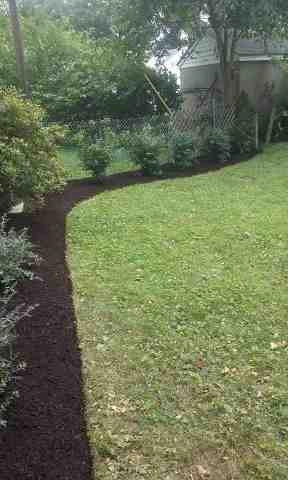Alberto Alavez Professional Lawn Services LLC 1 by Alberto Alavez Professional Lawn Services LLC - Photo 2