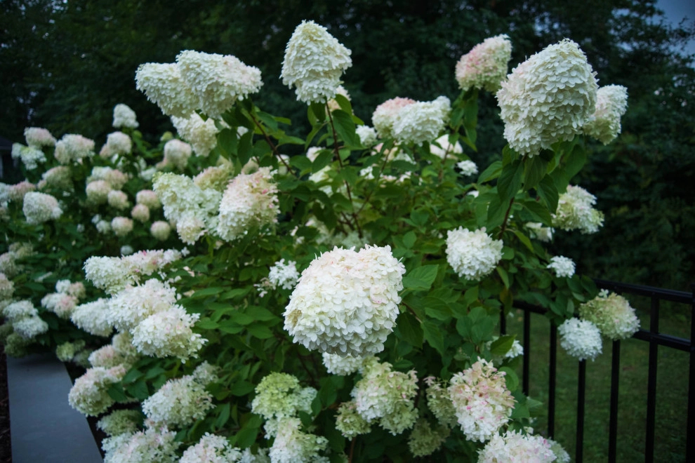 A Fox Trace by KGK Gardening & Design Corp - Photo 11