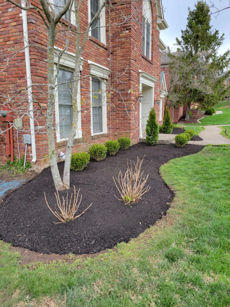 Alberto Alavez Professional Lawn Services LLC by Alberto Alavez Professional Lawn Services LLC - Photo 27