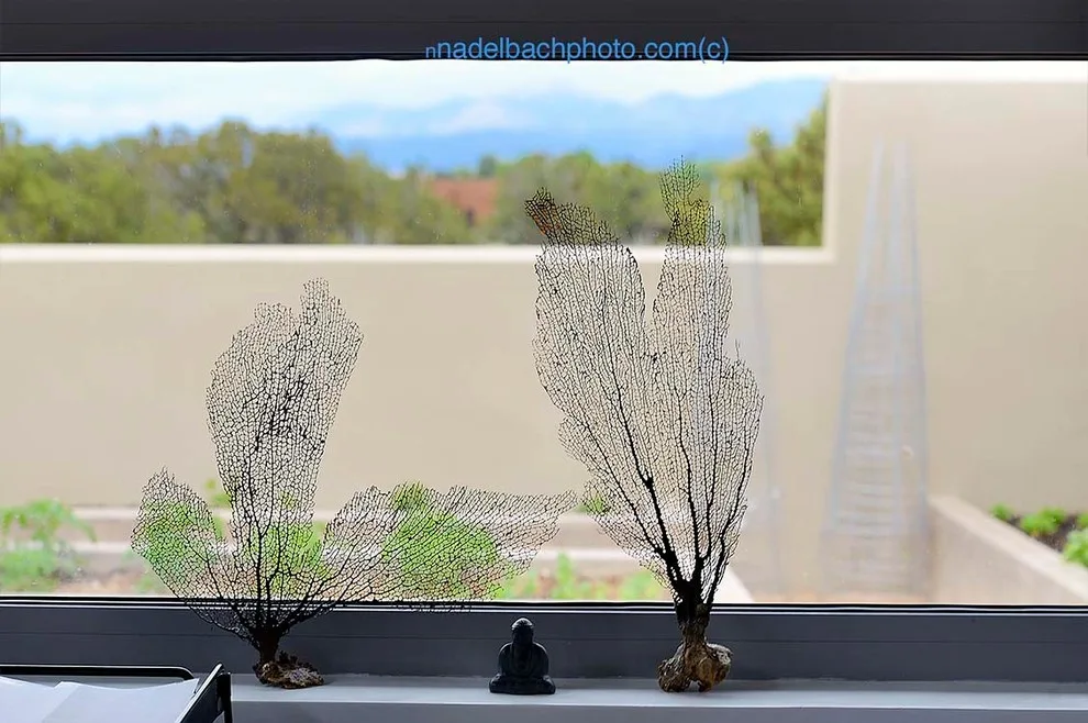 Ultra Contemporary Las Campanas by Prull Custom Builders - Photo 4