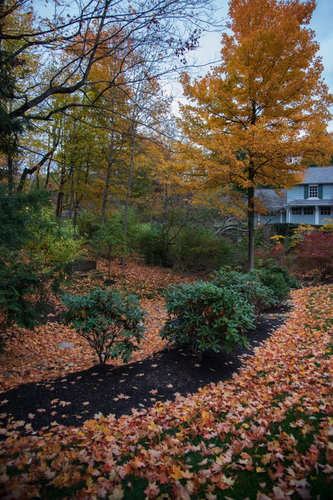 Cedar Ravine by KGK Gardening & Design Corp - Photo 10