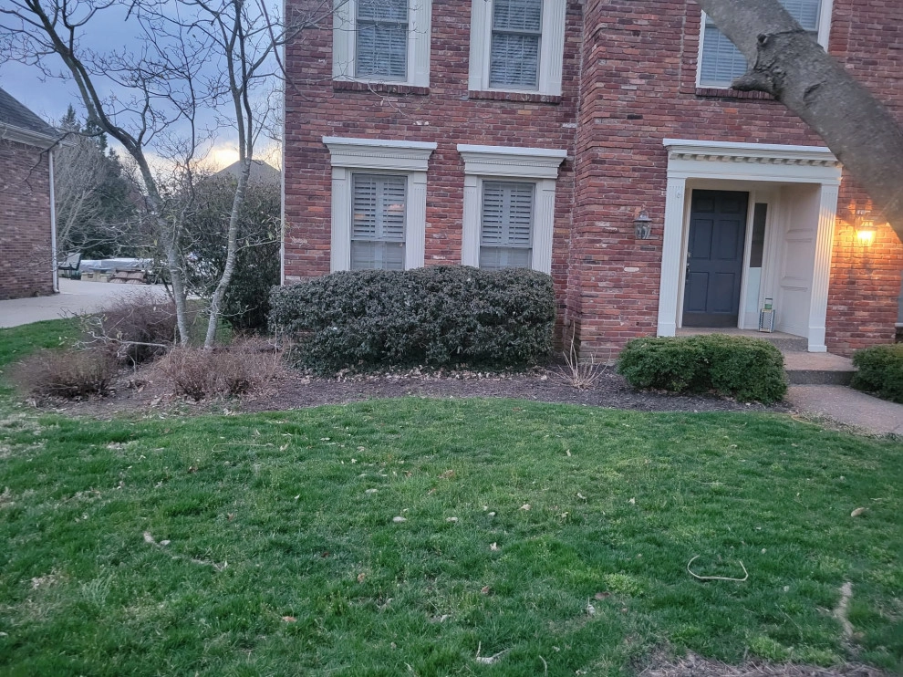 Alberto Alavez Professional Lawn Services LLC by Alberto Alavez Professional Lawn Services LLC - Photo 4