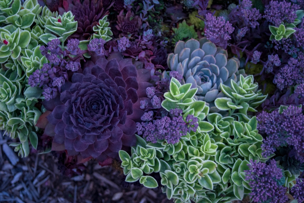 The Canterbury by KGK Gardening & Design Corp - Photo 80