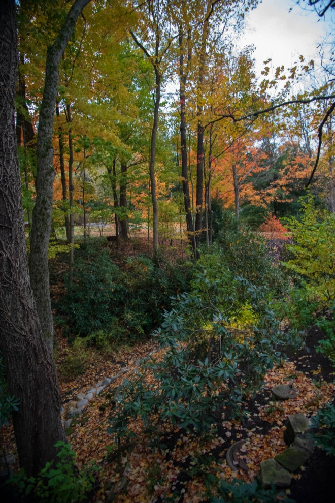 Cedar Ravine by KGK Gardening & Design Corp - Photo 64