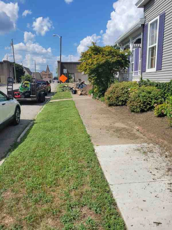 Alberto Alavez Professional Lawn Services LLC 3 by Alberto Alavez Professional Lawn Services LLC - Photo 65