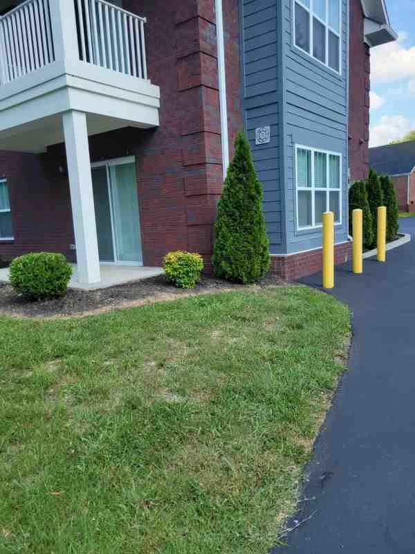 Alberto Alavez Professional Lawn Services LLC 3 by Alberto Alavez Professional Lawn Services LLC - Photo 36