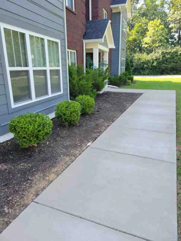 Alberto Alavez Professional Lawn Services LLC 3 by Alberto Alavez Professional Lawn Services LLC - Photo 84
