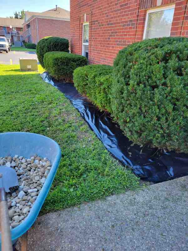 Alberto Alavez Professional Lawn Services LLC 3 by Alberto Alavez Professional Lawn Services LLC - Photo 8