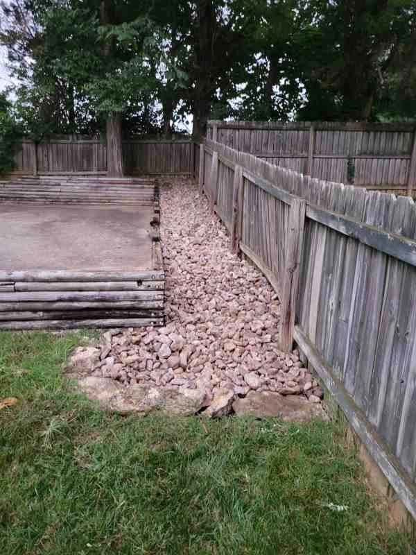 Alberto Alavez Professional Lawn Services LLC 3 by Alberto Alavez Professional Lawn Services LLC - Photo 2