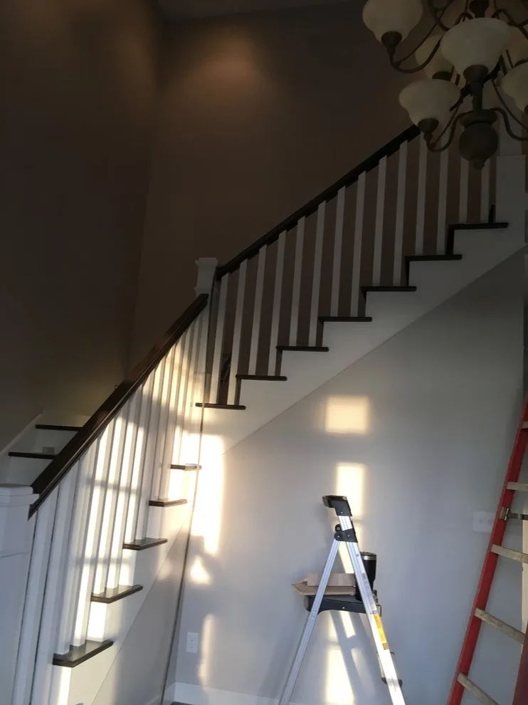 Linnaus Renovation by Wolfe Custom Homes - Photo 5