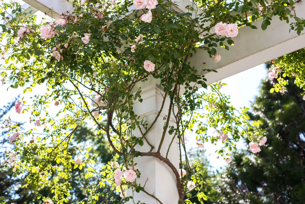 Cape Cod Home Chatham, Massachusetts by Kimberly Mercurio Landscape Architecture - Photo 7