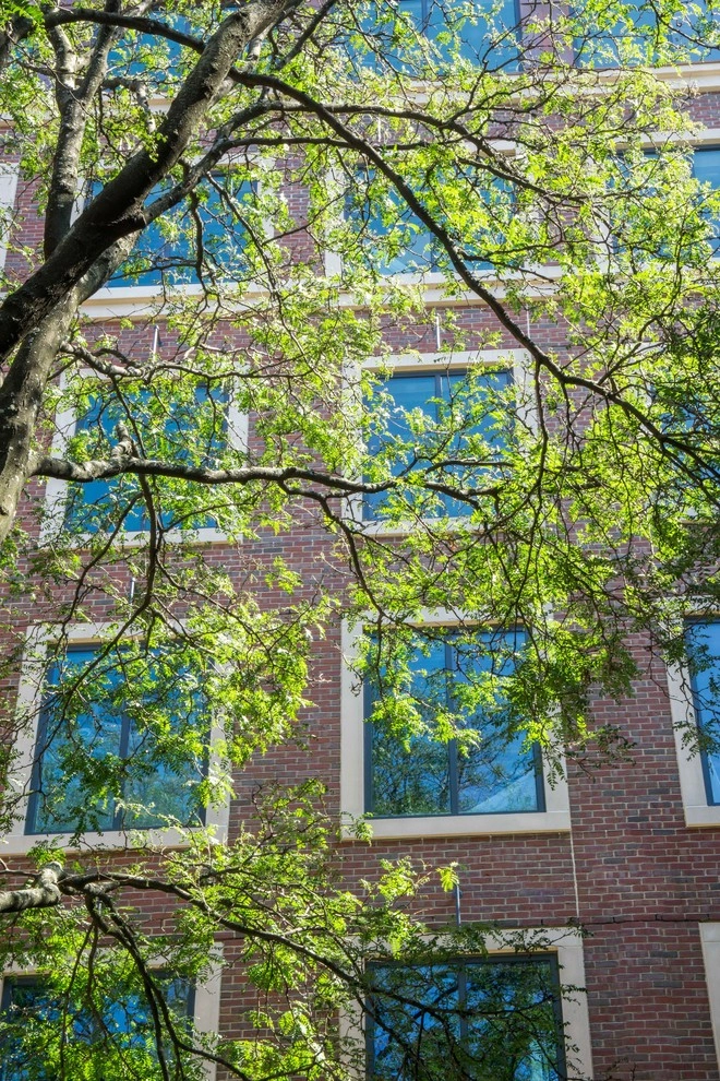 Chapman Arms, Cambridge, MA by Kimberly Mercurio Landscape Architecture - Photo 5