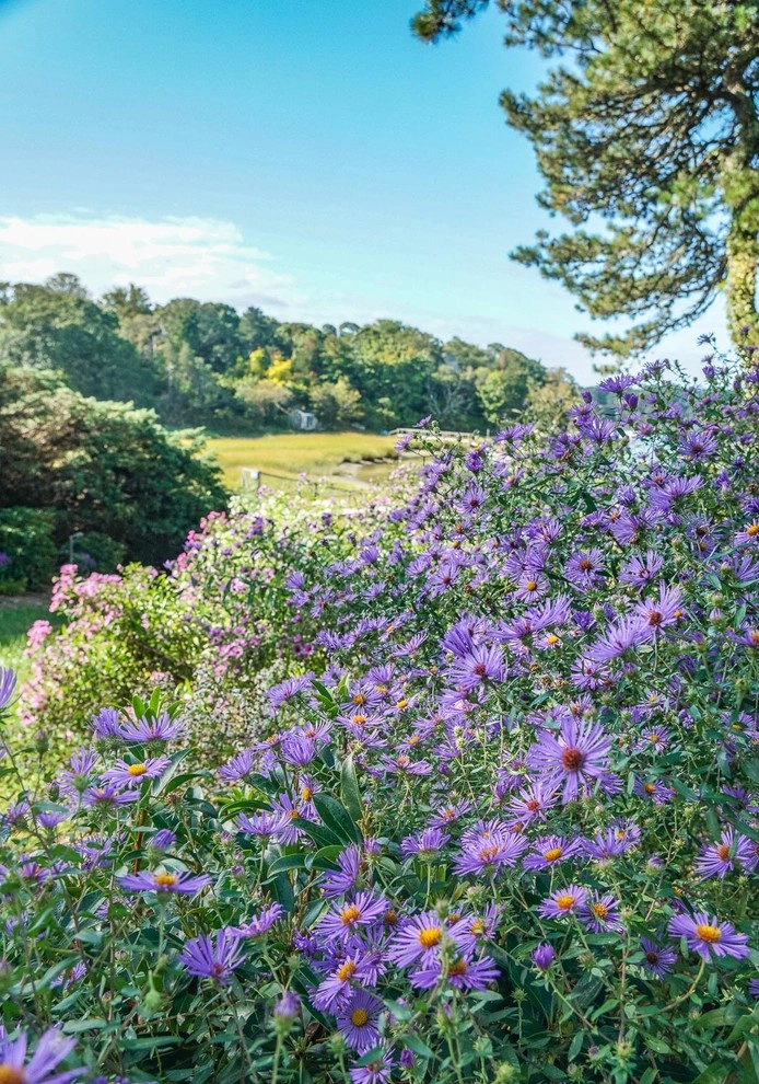 Coastal Landscape Orleans Massachusetts by Kimberly Mercurio Landscape Architecture - Photo 25