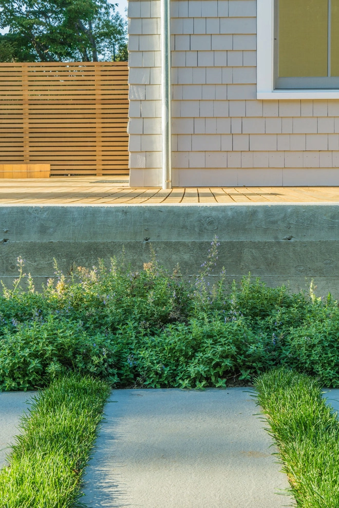 Cambridge, MA Residential Landscape Design by Kimberly Mercurio Landscape Architecture - Photo 7