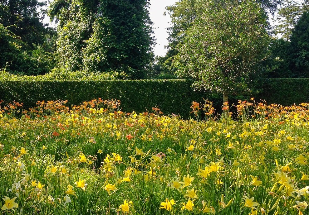 Lily Field Chatham, MA by Kimberly Mercurio Landscape Architecture - Photo 4