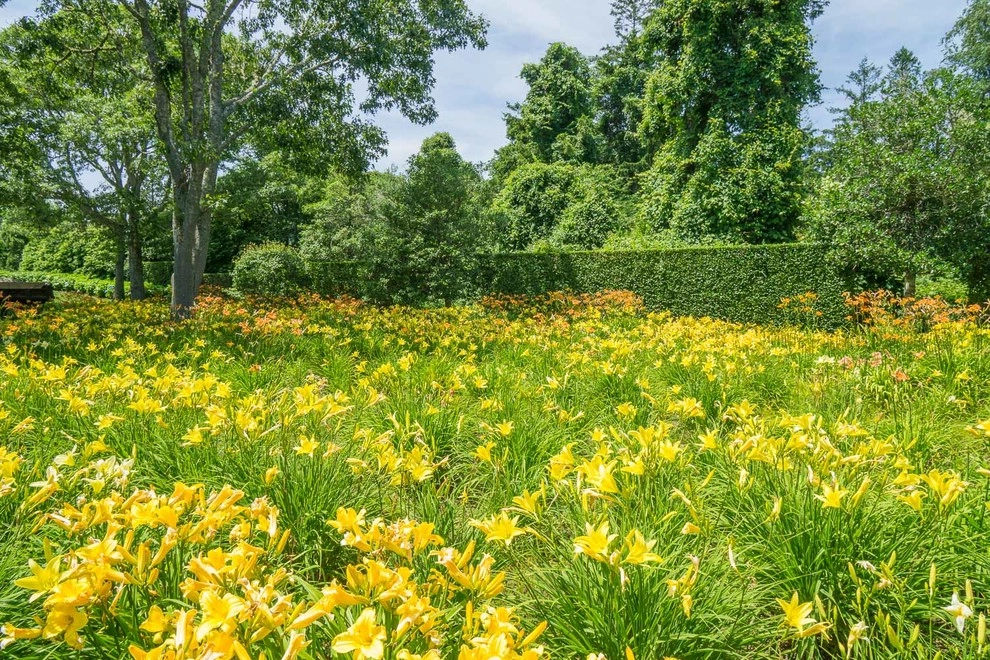 Lily Field Chatham, MA by Kimberly Mercurio Landscape Architecture - Photo 5