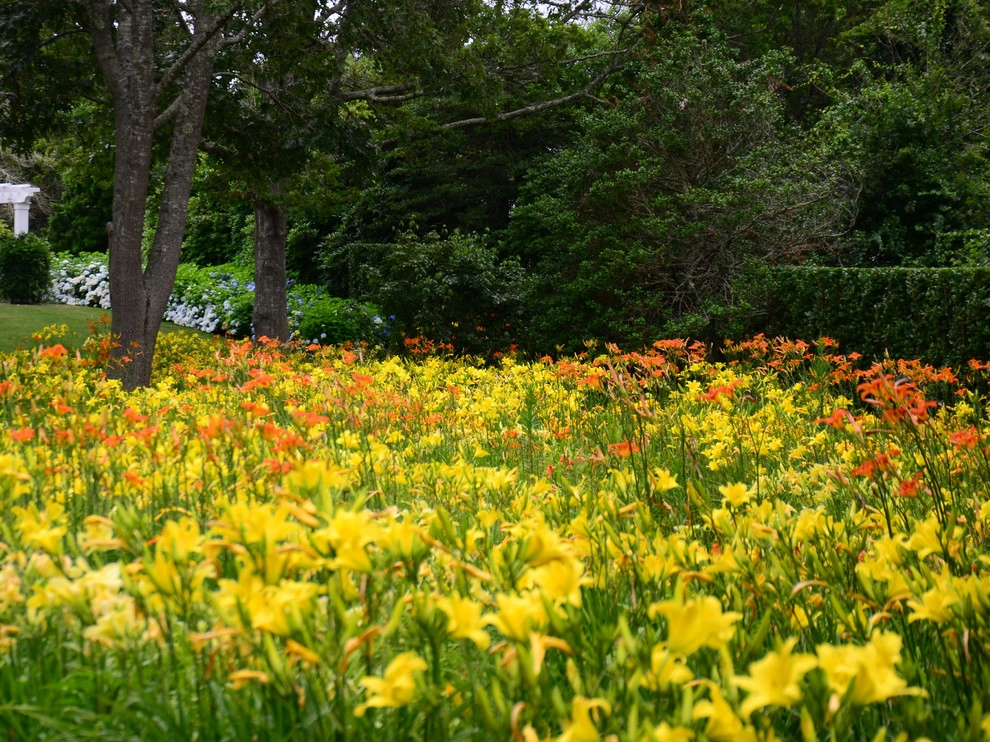 Lily Field Chatham, MA by Kimberly Mercurio Landscape Architecture - Photo 3