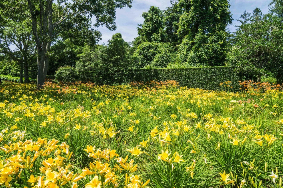 Lily Field Chatham, MA by Kimberly Mercurio Landscape Architecture - Photo 2
