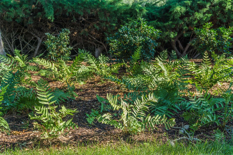 Coastal Landscape Orleans Massachusetts by Kimberly Mercurio Landscape Architecture - Photo 21