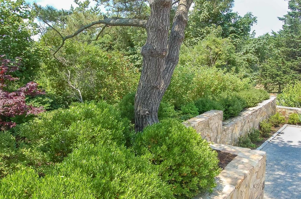 Kimberly Mercurio Landscape Architecture - Photo 8