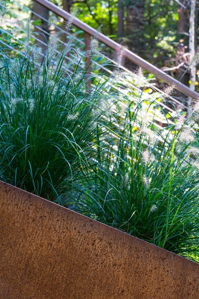 Lincoln Residence by Kimberly Mercurio Landscape Architecture - Photo 8