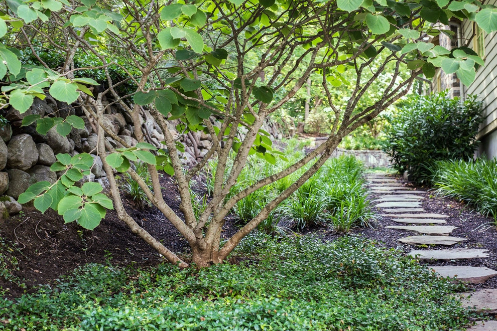 Kimberly Mercurio Landscape Architecture - Photo 12