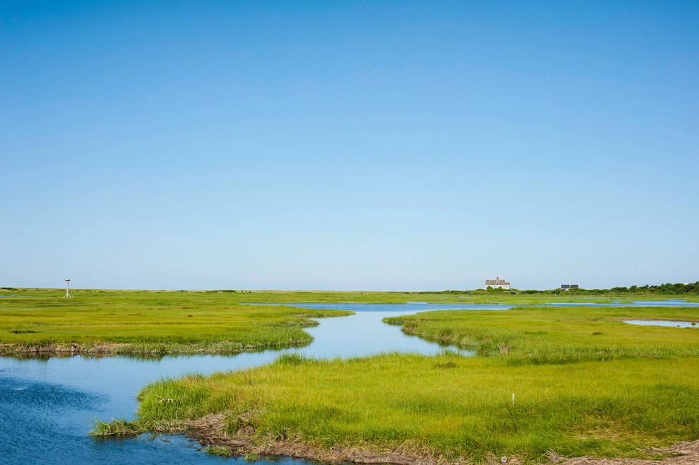 West Falmouth, MA Cape Cod Marsh View Summer Home by Kimberly Mercurio Landscape Architecture - Photo 9
